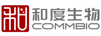 首页