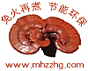 免火再煮锅网