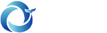鲸石三维