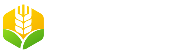 广州劳务服务