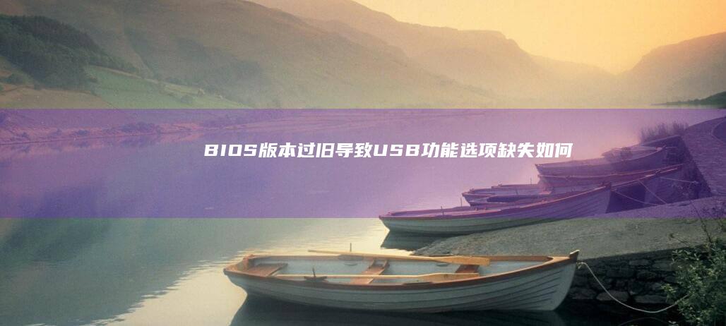 BIOS版本过旧导致USB功能选项缺失：如何检测并升级固件 (bios版本怎么查看)