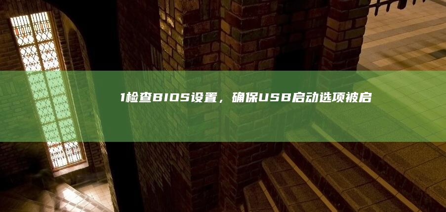 1. 检查BIOS设置，确保USB启动选项被启用； (1.检查装置的气密性时,除了用手握,还可以用什么方法?)
