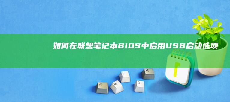 如何在联想笔记本BIOS中启用USB启动选项 (如何在联想笔记本上下载软件)