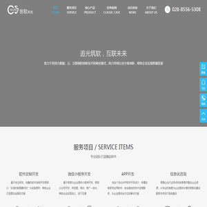 软件开发公司