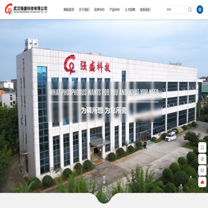 武汉强盛科技有限公司