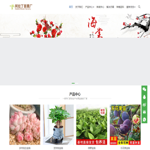 仙桃市阿拉丁苗圃厂