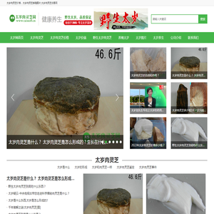 太岁肉灵芝网