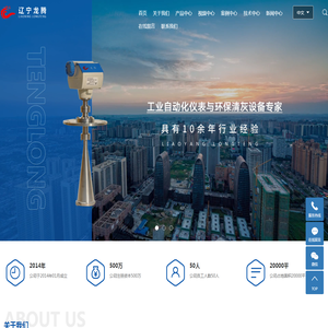 辽宁龙腾机电工程技术有限公司