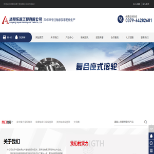 洛阳乐源工贸有限公司