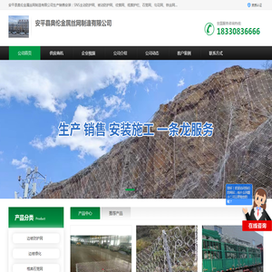 主被动边坡防护网