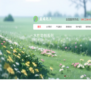 广州盈瑞化工科技有限公司