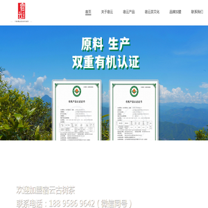 宿云古树茶